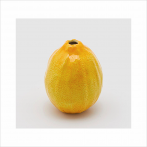 Angela Pinheiro Limão Decorativo