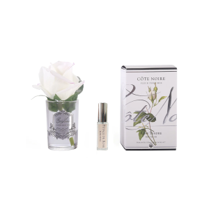 Rosa Unica Pequena - Blush - Côte Noire Angela Pinheiro